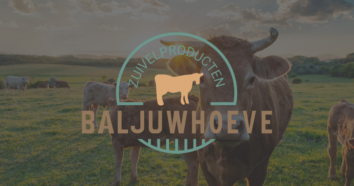 Baljuwhoeve photo